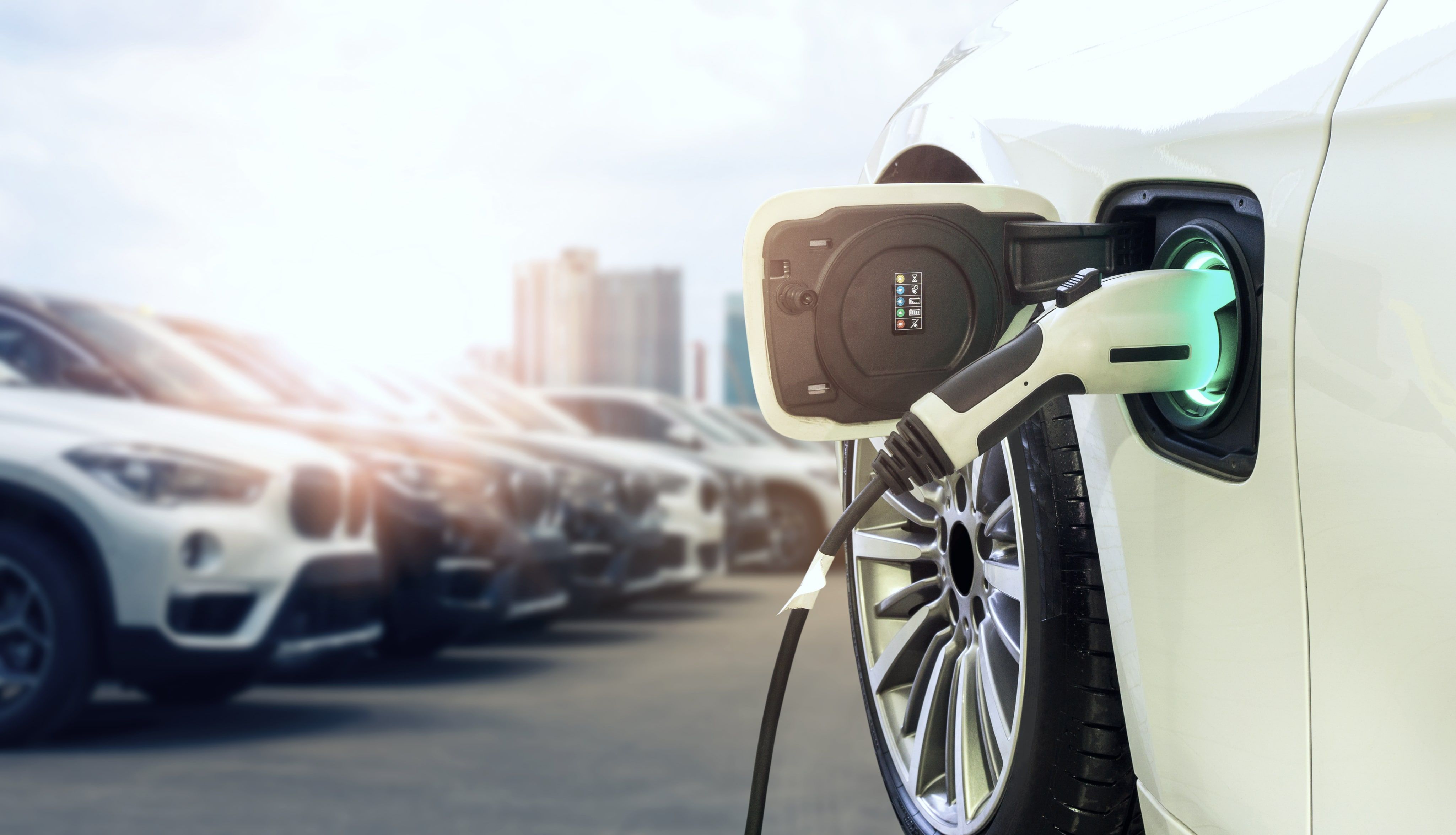 ให้เช่ารถ EV สำหรับหน่วยงานราชการและองค์กร
